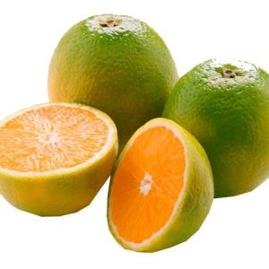 Laranja Pera Rio (CX 20 KG) - Image 1