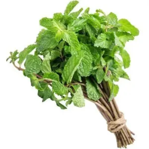 HORTELA ( MÇ )